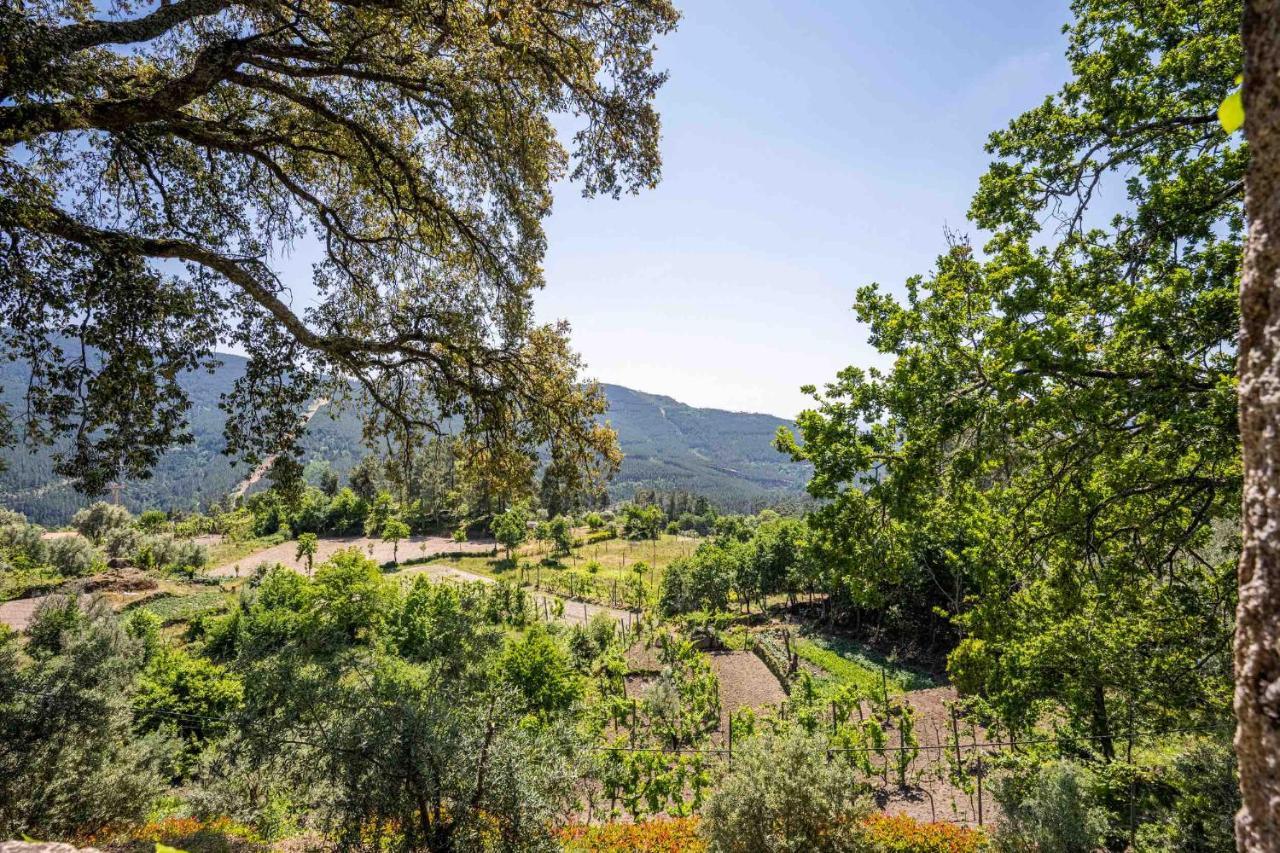 Quinta Da Baldieira Мондін-де-Башту Екстер'єр фото