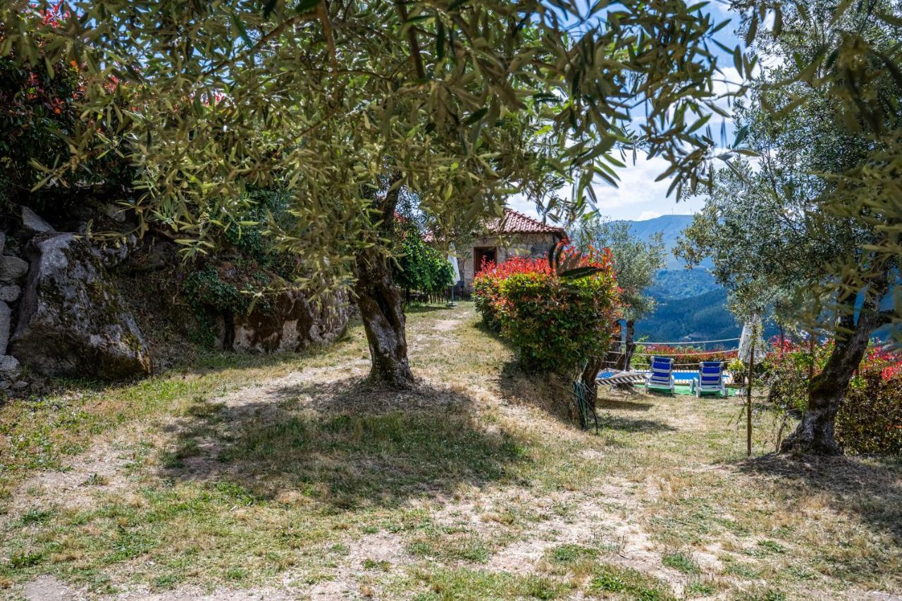 Quinta Da Baldieira Мондін-де-Башту Екстер'єр фото