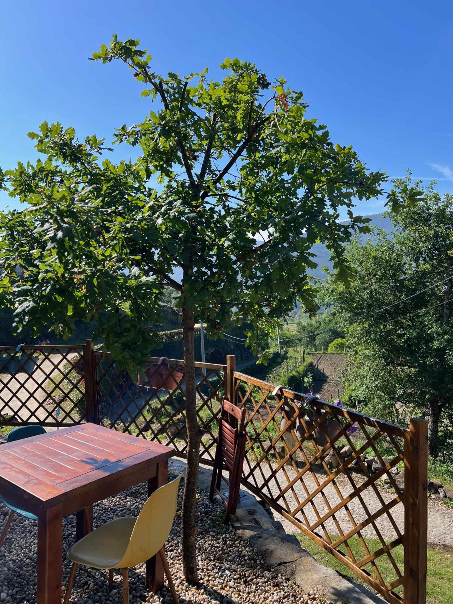 Quinta Da Baldieira Мондін-де-Башту Екстер'єр фото