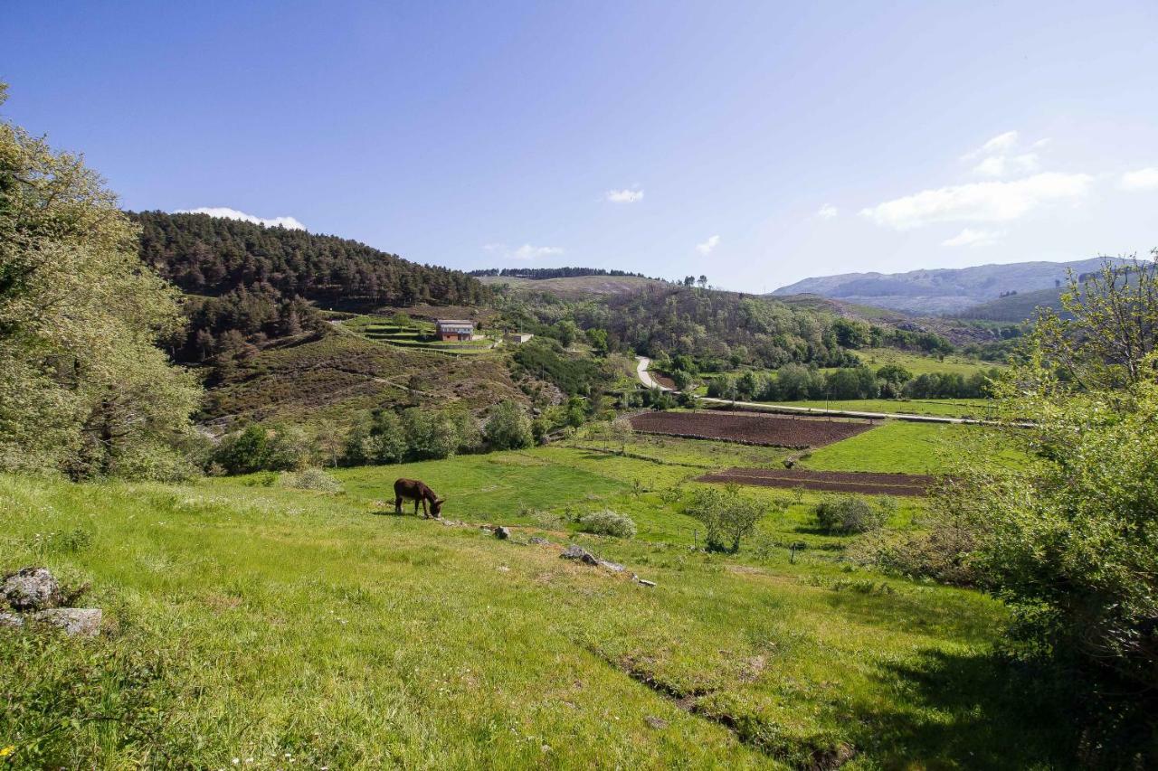 Quinta Da Baldieira Мондін-де-Башту Екстер'єр фото